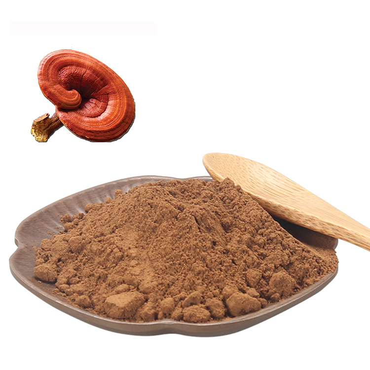 How to Add Red Reishi to Your Supplement Routine